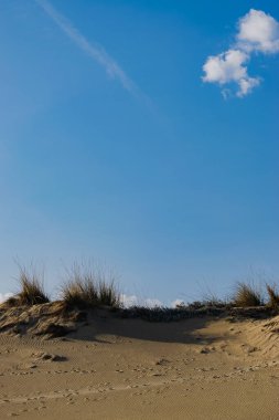 Mavi gökyüzü arkaplanlı kumsal