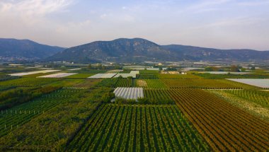 Tarlaları ekili tarlaların havadan görünüşü