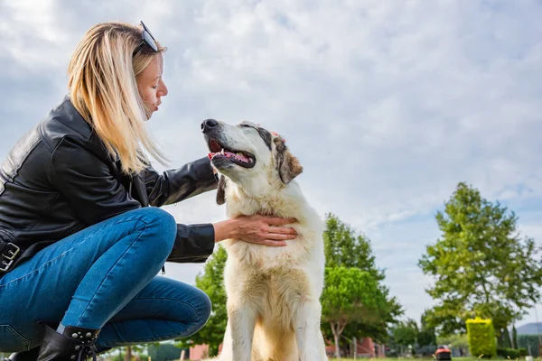 Sarışın kadın sevimli köpeği okşuyor.