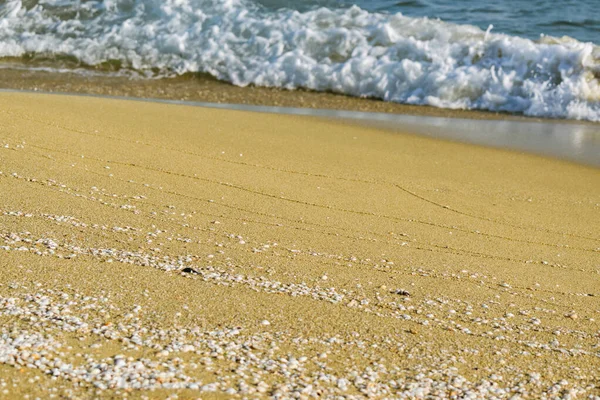 海浪在沙质海岸上冲撞 角度低 — 图库照片