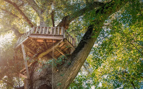 Κατασκευή Sky Park Στο Καταπράσινο Δάσος — Φωτογραφία Αρχείου