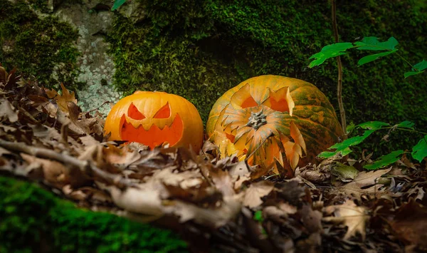 Dwa Rzeźby Dynie Lesie Święto Halloween — Zdjęcie stockowe