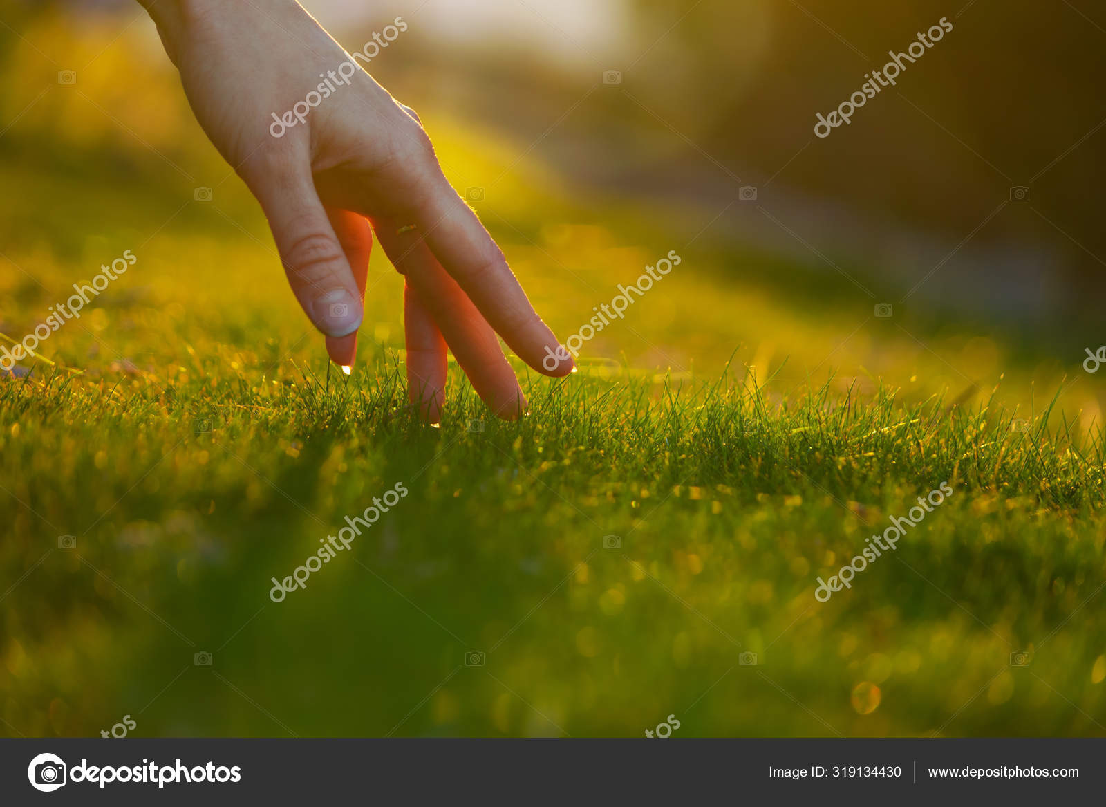 female hand, touch, grass Stock Photo