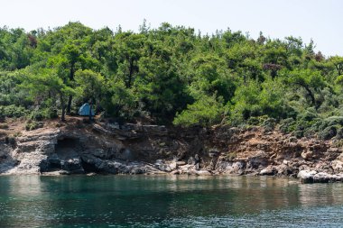Önünde deniz olan kayalık sahildeki ormana bak. Yaz kampı konsepti.