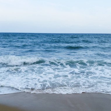 Köpüklü deniz burnu