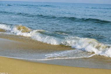 Deniz dalgaları kumlu kıyıya çarpıyor..