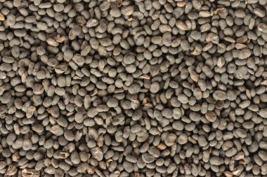Babchi (Psoralea Corylifolia) organik kuru tohumlar dokuyu kapatır. Arkaplan şablonu. Bakuchiol - retinol alternatif kavramı.