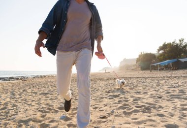 Genç adam köpekle sahil kenarında yürüyor.