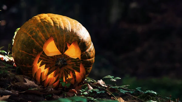 Close up carved pumpkin with creepy face jack o lantern on the ground in the forest. Halloween concept, copy space.