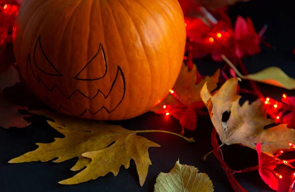 Labu Untuk Liburan Halloween Hutan — Stok Foto