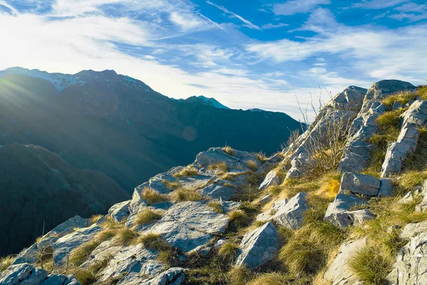 苔むした石や草で山の峰 — ストック写真
