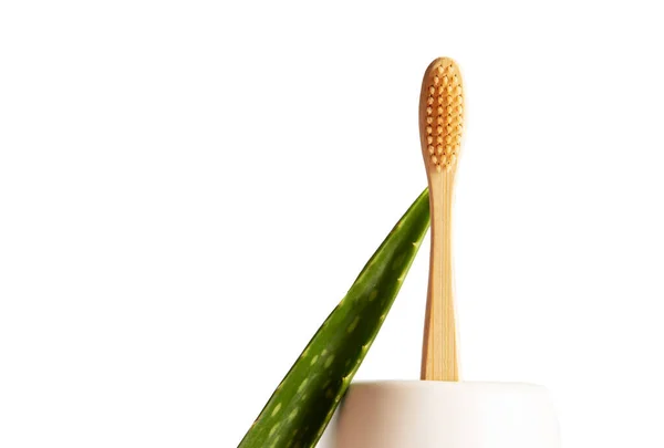 Bamboo Toothbrush Aloe Plant — Stock Photo, Image