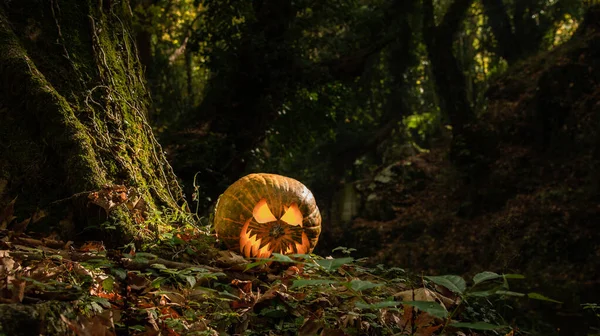 Carved pumpkin with creepy face jack o lantern on the ground in the forest. Halloween concept.