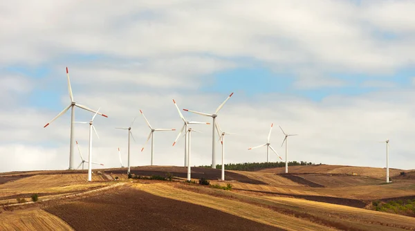 Windmills working on field - eco energy