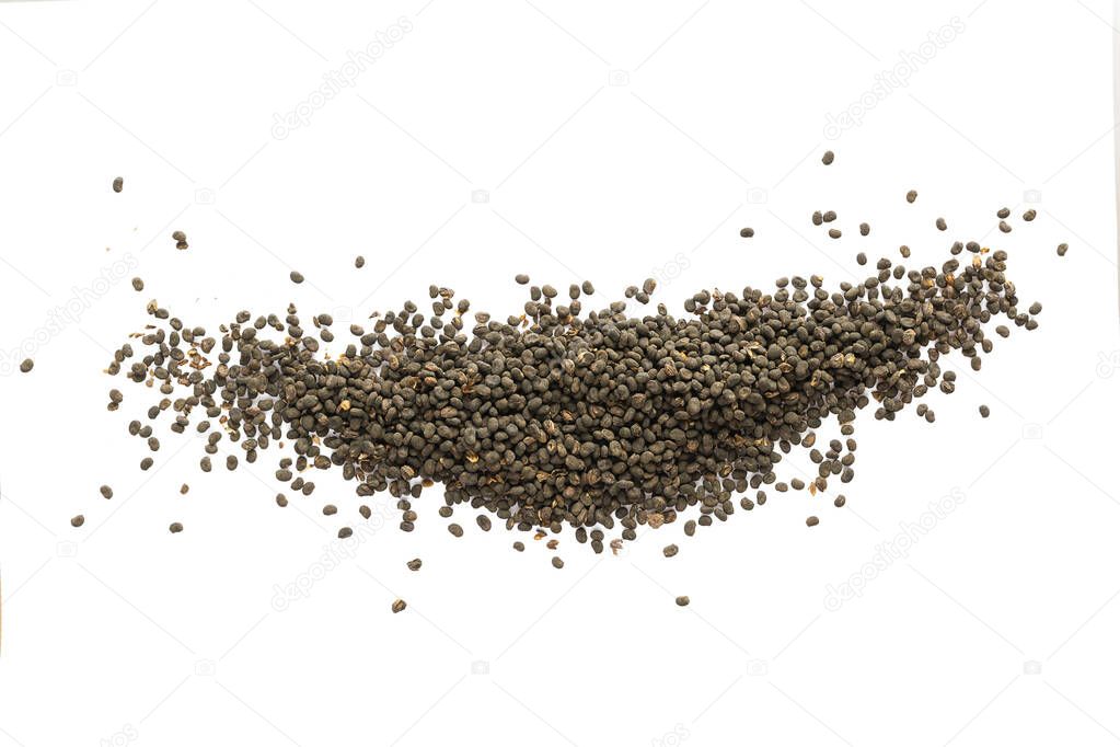 Babchi dry whole seeds isolated on white background. Bakuchiol concept. Design template.