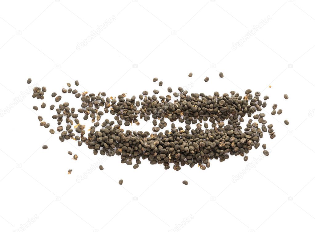 Babchi dry whole seeds in lines isolated on white background. Bakuchiol concept. Design template.
