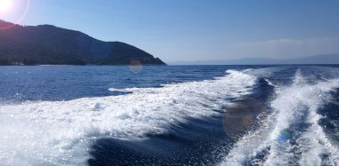 Köpüklü deniz burnu