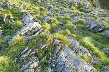 Yeşil çimenler ve kayalıklar tepe, arka plan dokusu.