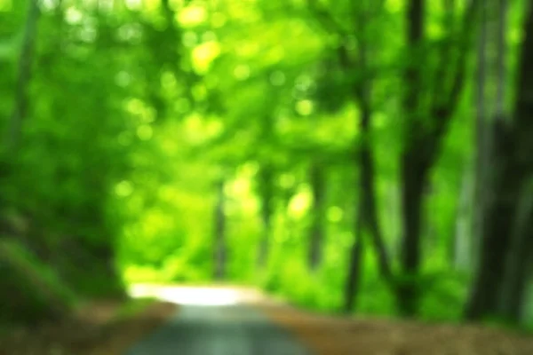 Blurred and unfocused background texture of vibrant green forest in the mountains and empty road.