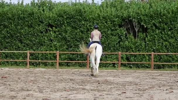 Mulher Montando Cavalo Branco Rancho Durante Aula Equitação — Vídeo de Stock