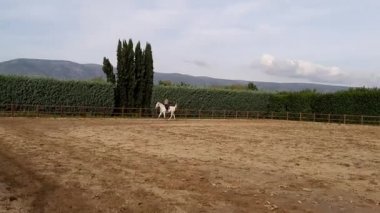 Çiftlikte beyaz ata binen bir kadın..