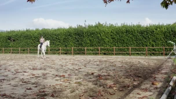 在农场上课时骑白马的女人 — 图库视频影像