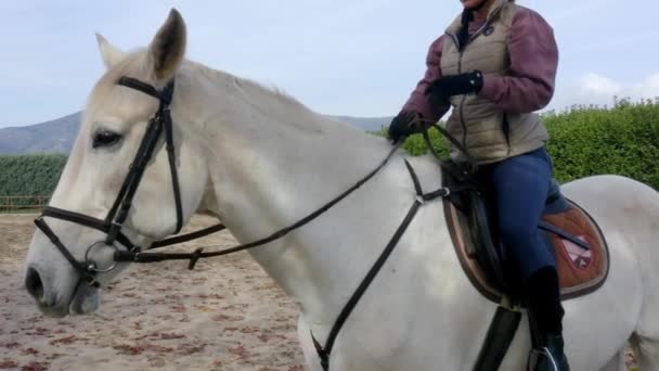 牧場での女性乗馬レッスン — ストック動画