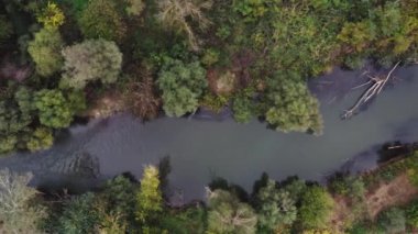 Sonbaharda ormandaki küçük nehrin havadan görünüşü.