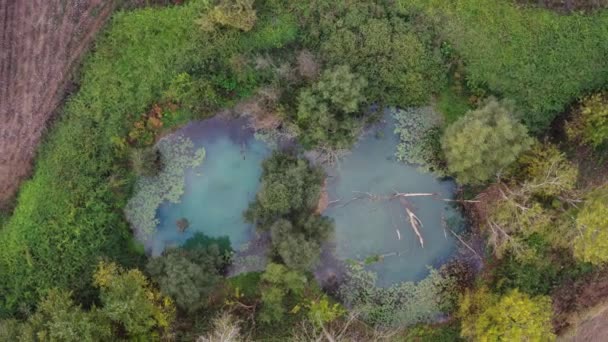 Doğadaki Iki Göletin Drone Görüntüsü — Stok video