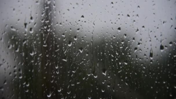 창문에 방울의 빗방울 가까이 — 비디오