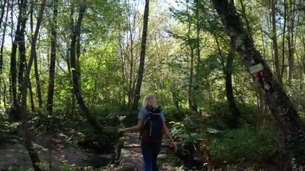 Mujer Joven Caucásica Con Mochila Caminando Curiosamente Sobre Pequeño Puente — Vídeo de stock