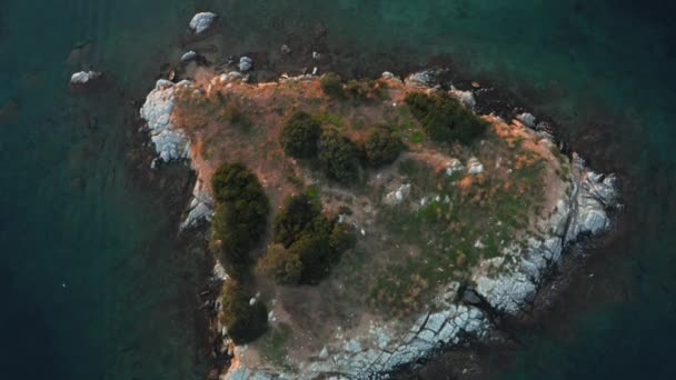 Drone Tiro Ilha Rochosa Desabitada Meio Mar Com Gaivotas Voando — Vídeo de Stock