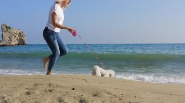 Güneşli bir günde sahilde beyaz Maltese köpeğiyle koşan gündelik elbiseli mutlu bir kadın. Yavaş çekim stok videosu.