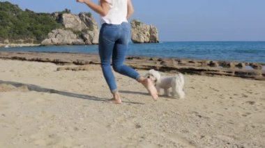 Gündüz vakti plajda beyaz Maltese köpeğiyle koşan günlük elbiseli mutlu bir kadın..