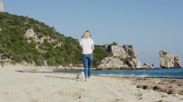 Visão Traseira Jovem Mulher Andando Com Cão Cinta Praia Junto — Vídeo de Stock