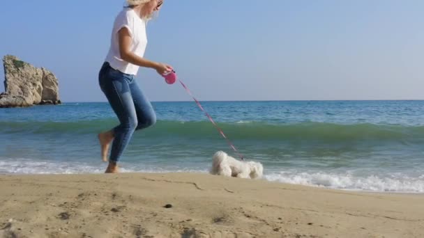 晴れた日にビーチで白いマルタ犬と一緒に走るカジュアルな服の幸せな女性 スローモーションストックビデオ — ストック動画