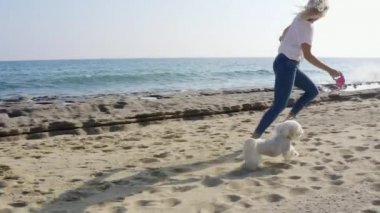 Mutlu genç kadın güneşli bir günde sahilde beyaz Maltese köpeğiyle oynuyor..