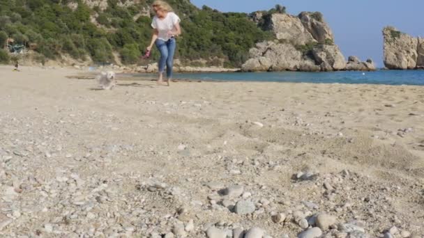 晴れた日にビーチで白いマルタ犬と一緒に走るカジュアルな服の幸せな女性 スローモーションストックビデオ — ストック動画