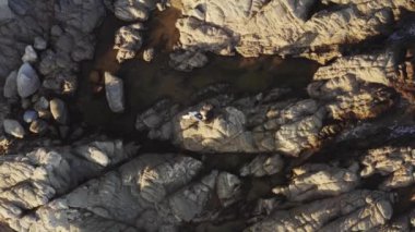 Deri ceketli, altın saatli şık bir kadın gün batımında deniz kenarındaki kayalarda oturuyor..