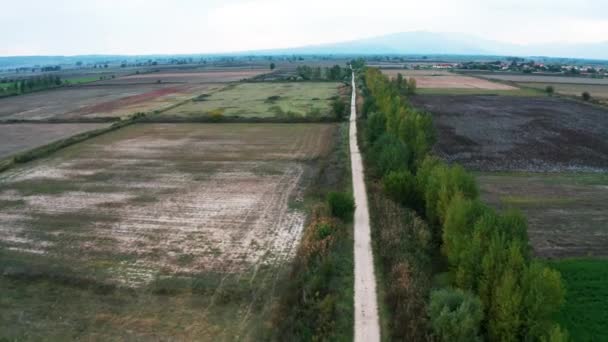 Survoler des champs bien rangés avec des arbres 