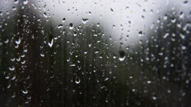 Su damlalarıyla bardaktan bardağa