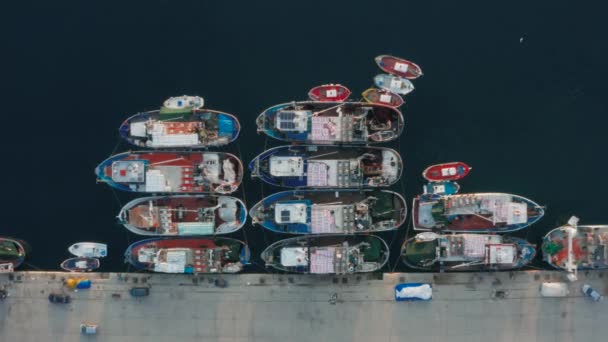 Aerial View Boats Docked Port — Stock Video