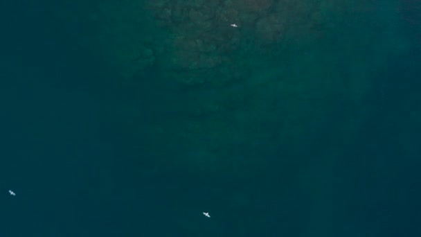 海底有石头的蓝色海水 — 图库视频影像