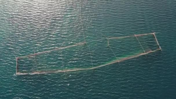 Vue Aérienne Des Filets Pêche Dans Mer — Video