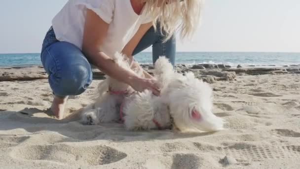 Γυναίκα Παίζει Σκυλί Στην Παραλία — Αρχείο Βίντεο
