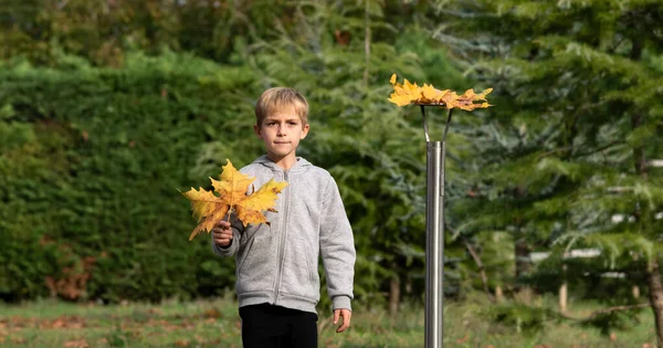 Симпатичный Мальчик Позирует Осеннем Парке — стоковое фото