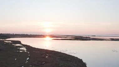 Pembe flamingolu Lakeside, doğa geçmişi var..