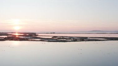 Pembe flamingolu Lakeside, doğa geçmişi var..