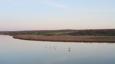 Pembe flamingolu Lakeside, doğa geçmişi var..