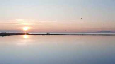 Pembe flamingolu Lakeside, doğa geçmişi var..